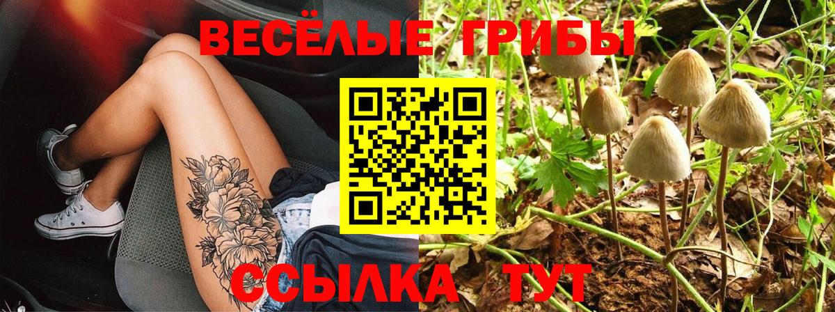 Галлюциногенные грибы прущие грибы Полысаево