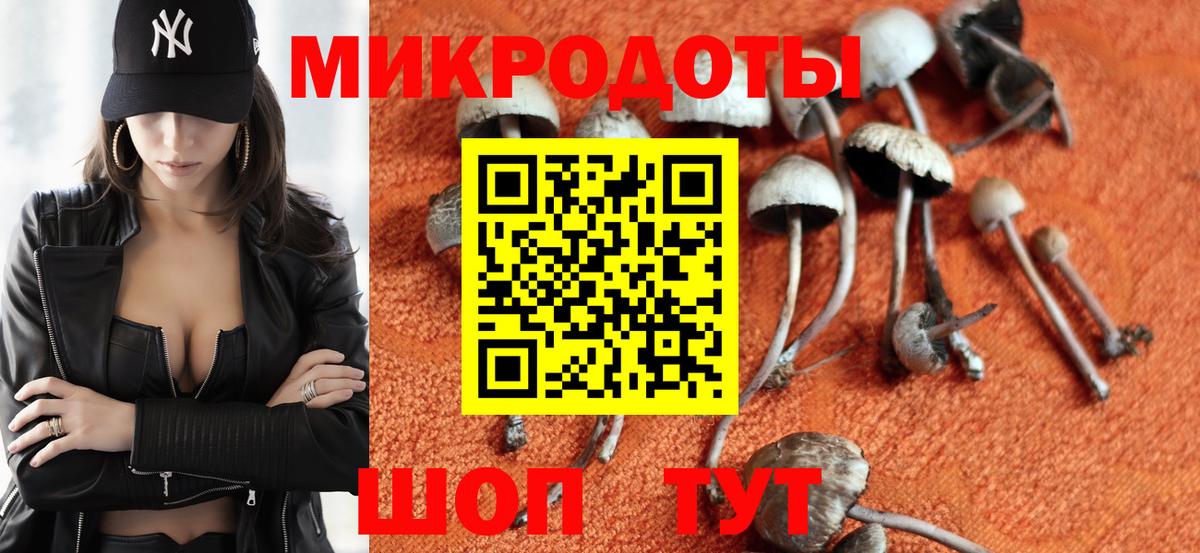 Полысаево  Псилоцибиновые грибы GOLDEN TEACHER  Вход с VPN  Галлюциногенные грибы GOLDEN TEACHER 